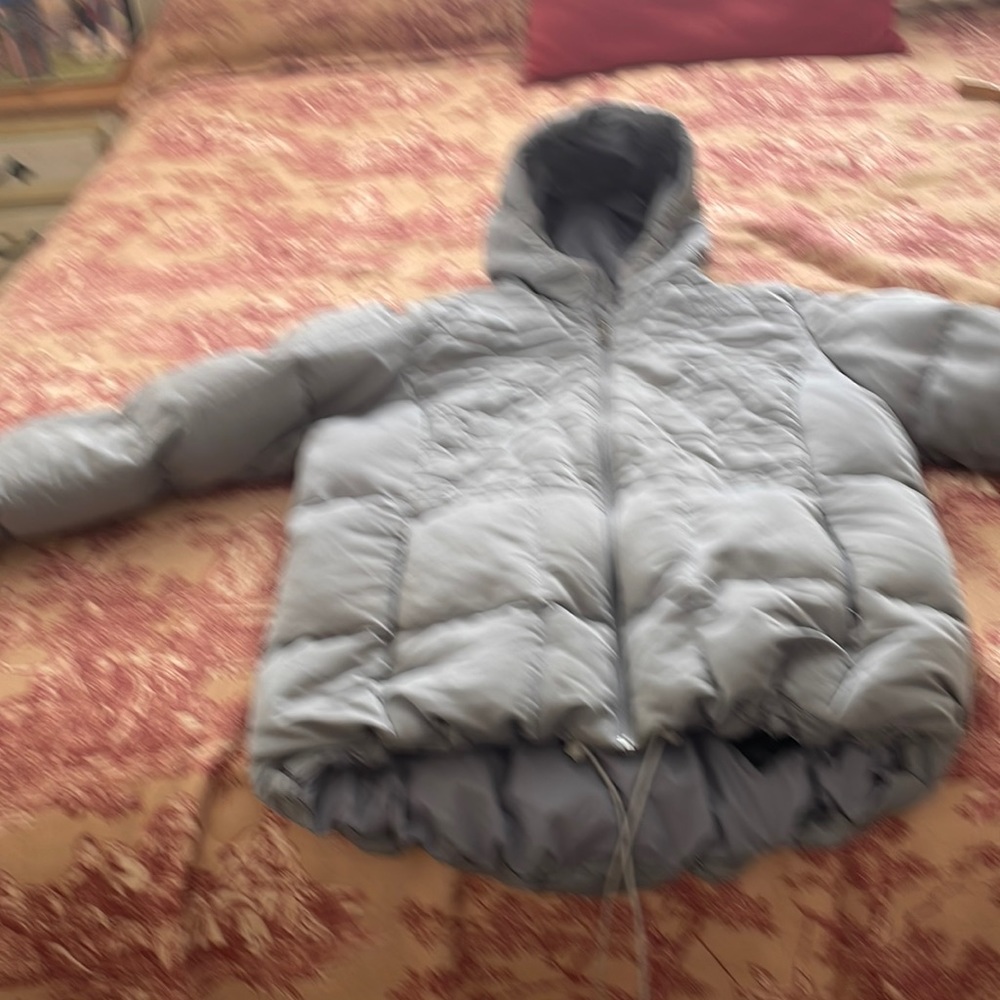 North Face Coat Grey LG New $149 slightly used